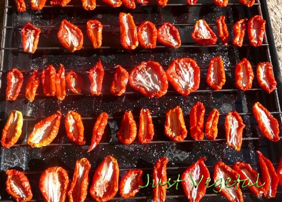Tomates secos1