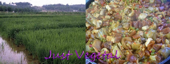paella1