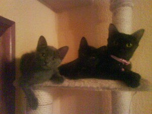 Aretha e hijas