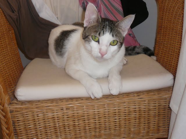 Manuel