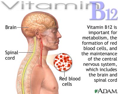 B12